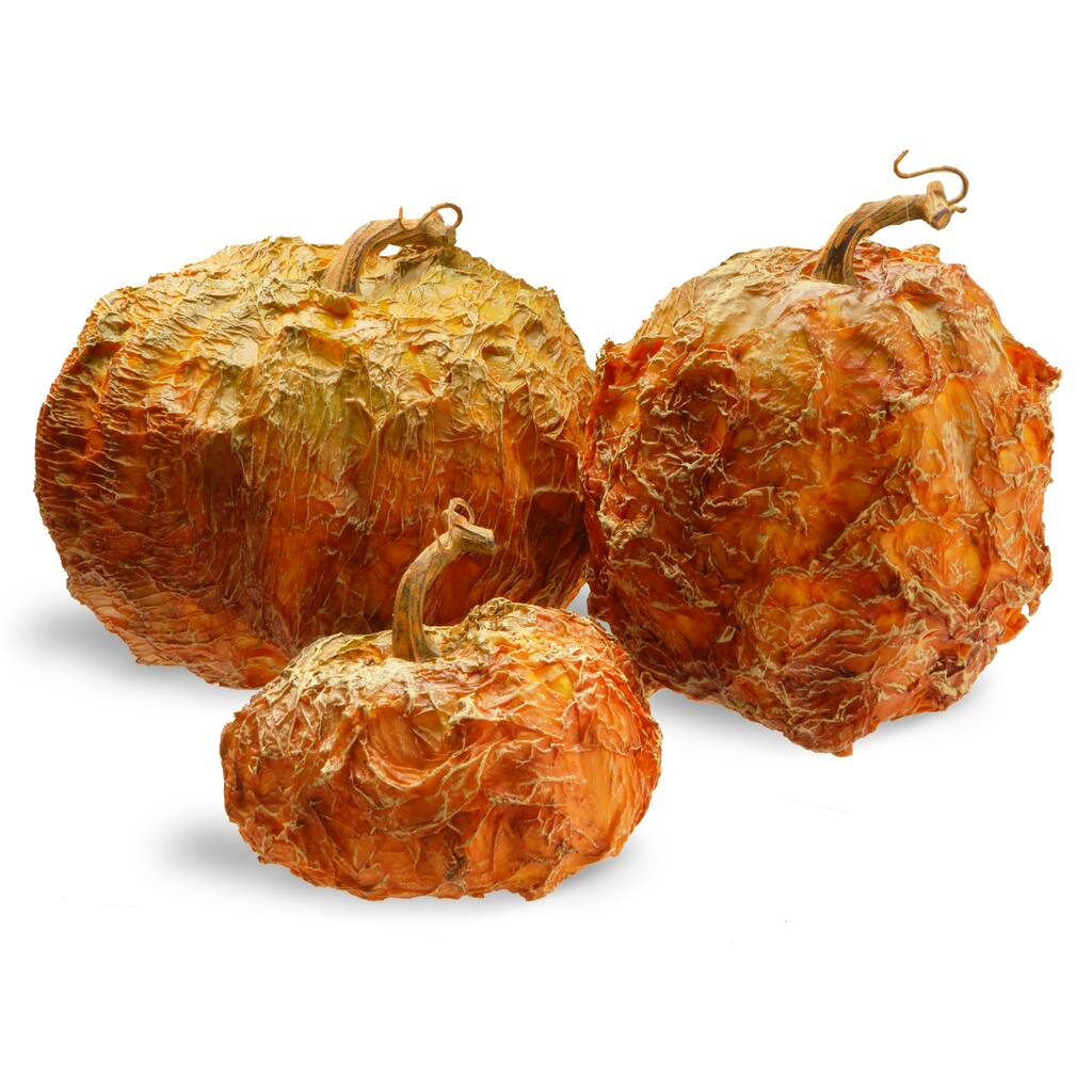 D205195S_1.jpg img